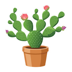Flowering Prickly Pear Cactus in Pot