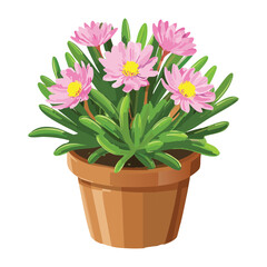 Pink Flowering Plant in Terracotta Pot