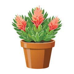 Red Orange Flowering Plant in Pot