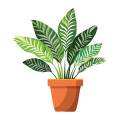 Striped Green Leaf Plant in Pot