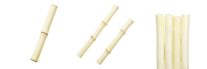 Fresh bamboo shoots isolated on a transparent background displayed in close up and top view, showcasing multiple perspectives and textures of the bamboo stalks.