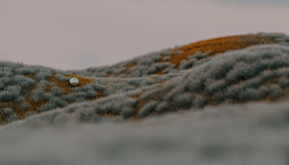 3d Digital Landscape
