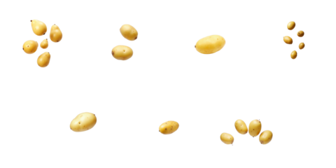 Isolated raw potatoes in various sizes and shapes floating on a transparent background for culinary and food-related graphics designs.