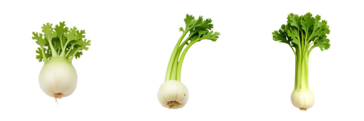 fresh celeriac roots with green leafy tops isolated on transparent background displaying three different perspectives of the vegetable arranged symmetrically