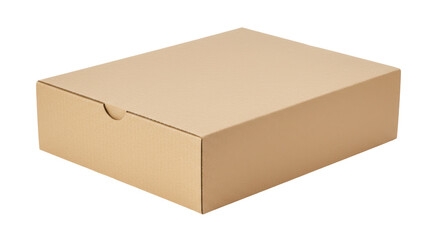 Isolated Blank Cardboard Box Packaging