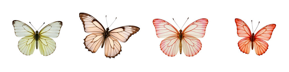 Fototapeta premium Four different butterfly species with varying colors and patterns isolated on a transparent background showcasing their unique features and delicate structures.