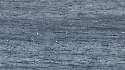 just look at the sea