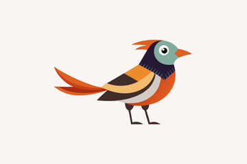 Tailor  bird