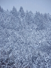 冬の中山道の観光名所馬籠宿の展望台から見た恵那山の雪景色