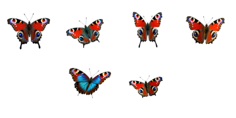 Isolated colorful peacock butterflies displaying vibrant patterns and hues on a transparent background arranged in a symmetric layout for design purposes