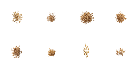 Various clusters of golden flax seeds on a transparent background showcasing different sizes and arrangements of seeds isolated for clear visibility