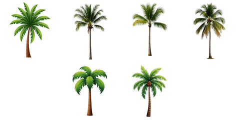 Obraz premium Collection of six tropical coconut palm trees with various heights and foliage styles isolated on a transparent background for digital design use.