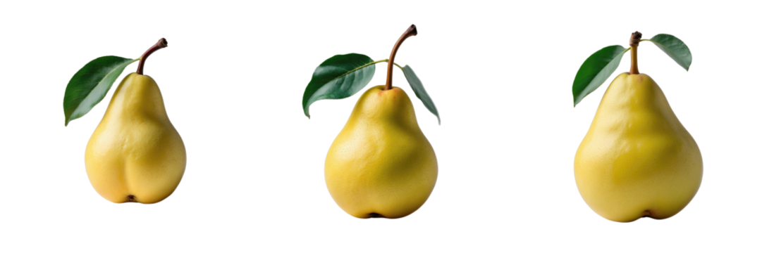 Fresh ripe yellow pears with leaves displayed on a transparent background isolated and captured in full depth of field highlighting their texture and color