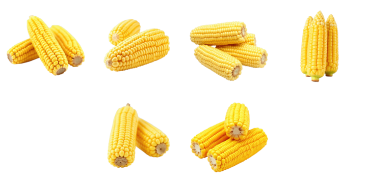 Multiple yellow corn cobs arranged on transparent background showcasing distinct angles and orientations suitable for packaging design and graphical elements