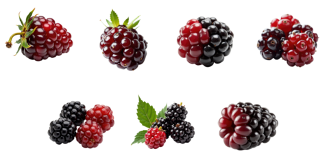 Assorted transparentberries with varying ripeness displayed on a transparent background featuring both red and transparent fruits and green leaves, ideal for food and nature themes.
