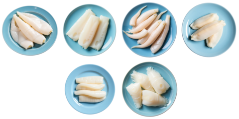 Various types of fresh raw squid and cuttlefish fillets arranged in blue plates isolated on a transparent background with no distractions