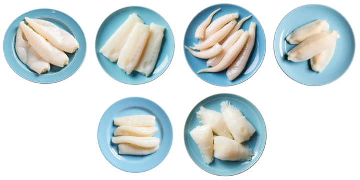 Various types of fresh raw squid and cuttlefish fillets arranged in blue plates isolated on a transparent background with no distractions