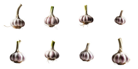 Collection of garlic heads isolated on transparent background featuring multiple angles and orientations showcasing distinct textures and colors of garlic bulbs