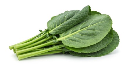 Freshly Harvested Collard Greens on White Background, Vibrant and Healthy