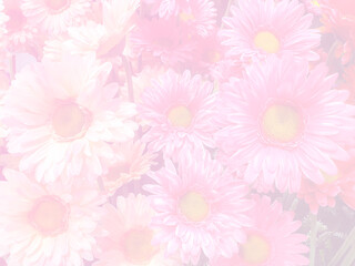 blurred bouquet of fabric flower in pink color tone