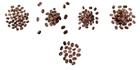 Group of assorted roasted coffee beans arranged in distinct piles on a transparent background with a transparent backdrop highlighting their texture and color.