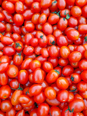 ripe red tomatoes background