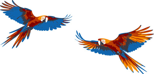 Fototapeta premium Colorful exotic macaw parrot with vibrant feathers in a tropical illustration