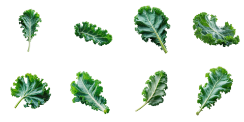 Chinese kale leaves isolated on transparent background various arrangements showcasing texture and shape of foliage in a flat lay composition.