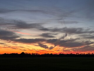 sunset over the field