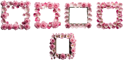 Five distinct frames crafted from pink rose petals arranged on a transparent background, viewed from above, showcasing various styles and formations of petals.