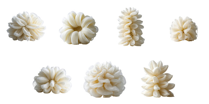 Various fresh loofahs displayed in different shapes, isolated on a transparent background highlighting texture and detail for product use.