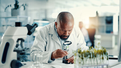 Magnifying glass, leaf and research with black man in laboratory for gene function, biology and...