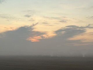 a misty morning over the field