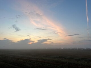 a misty morning over the field