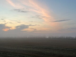 Obraz premium a misty morning over the field