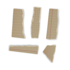 Torn Pieces of Lined and Grid Paper