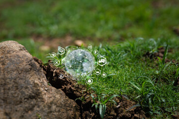 Global Connection Concept with Nature Background and Digital Icons