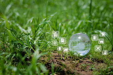 Transparent Globe on Grass with Ecological and Shopping Icons