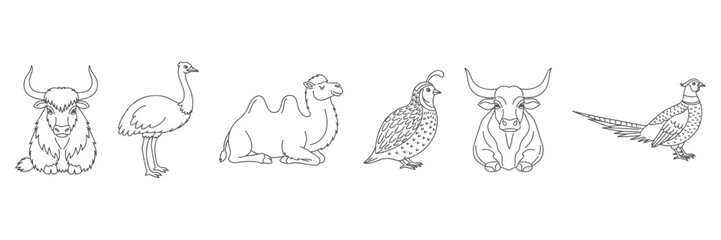 Minimal Line Art Vector Illustration of Unique Farm and Exotic Animals Including Yak Emu Camel Quail Ox and Pheasant in Simplified Style for Educational Use Farm Decor