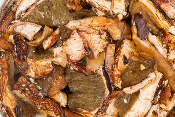 Dried boletus soaked in a cold water, top view