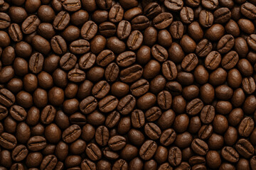 Fototapeta premium Coffee beans scattered on a white backdrop.