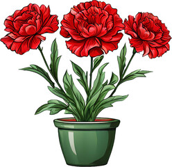 red carnation flowers