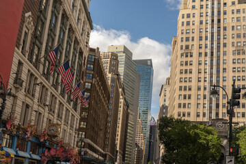 Obraz premium New York's skyscrapers are vertical architectural structures of great impact