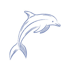 Dolphin vector. Doodle dolphin with pencil texture, chalk. Vector isolated element