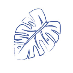 Pen drawn monstera leaf on white background. Botanical doodle element. Vector vintage branch