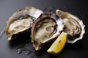 Naklejka premium Fresh raw oysters served on ice and a plate for a gourmet seafood appetizer