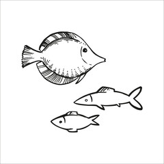 hand drawn vector underwater fish, black and white ink silhouette of exotic tropical fish, sketch of sea wildlife, engraving textured illustration of undersea animal for marine picture, decoration