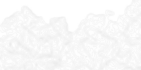 Vector geographic contour map. Topography map background. Black and white wave Seamless line. Topography relief. White wave paper curved reliefs abstract. Topographic map patterns,topography line map.