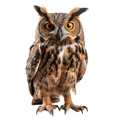 Fototapeta premium Owl staring at the camera isolated on transparent background, png