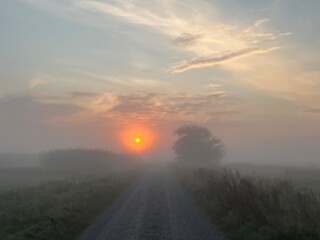 Fototapeta premium sunrise in the fog over the road a misty morning